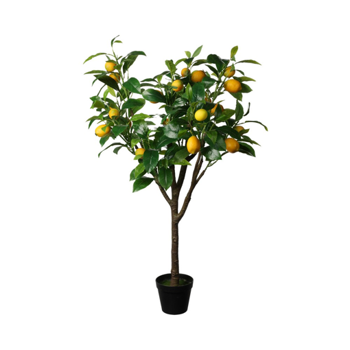 LEMON TREE IN POT 115CM