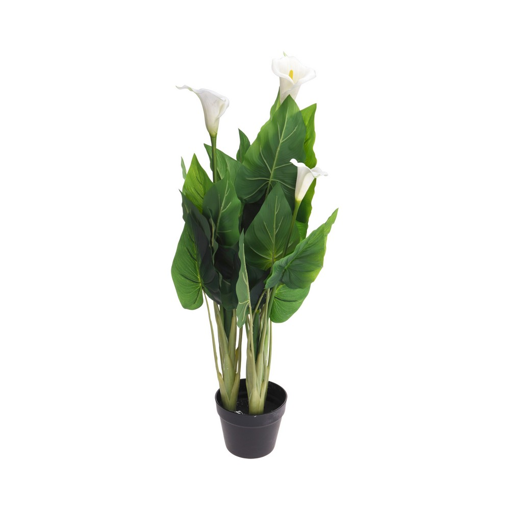 PLANT IN POT 100CM