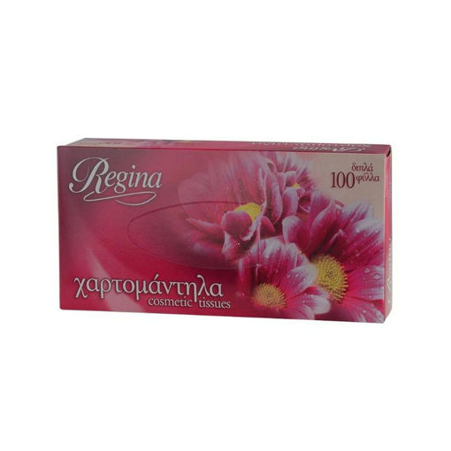 REGINA ΧΑΡΤΟΜΑΝΤΗΛΑ ΔΙΦΥΛΛΟ ΤΕΜ 100