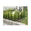 GARDENA ΣΥΝΔΕΣΜΟΣ 4,6ΜΜ GA8337