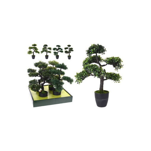 BONSAI TREE ΣΕ ΓΛΑΣΤΡΑ 50CM