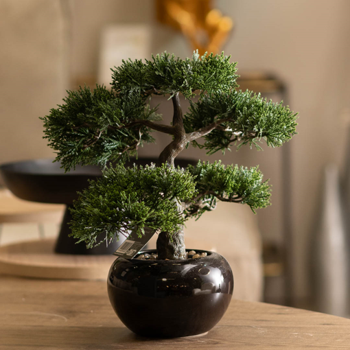 Τεχνητό Φυτό Σε Γλάστρα (35x32x34) A-S Bonsai