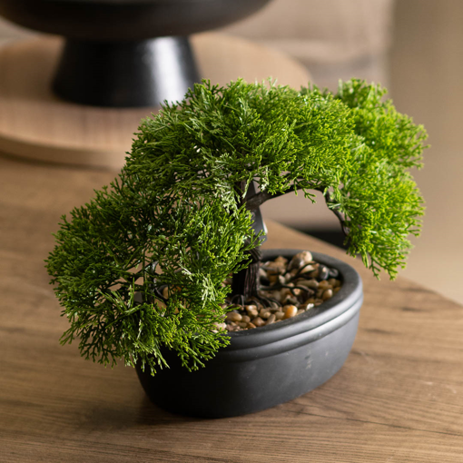 Διακοσμητικά σπιτιού γλάστρα bonsai H23cm