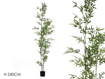 ΦΥΤΟ Bambu in vaso h240 cm