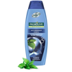 PALMOLIVE sh. 350ml (ΕΛ) πιτυρίδα