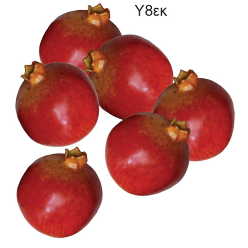 Σ/6 ΤΕΧΝΗΤΑ ΡΟΔΙΑ 8ΕΚ